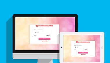 广东市妇联数据信息三级报送系统