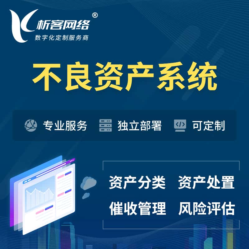 广东不良资产管理系统