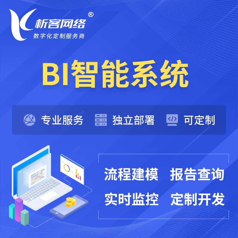 广东BI智能系统 | BI数据可视化