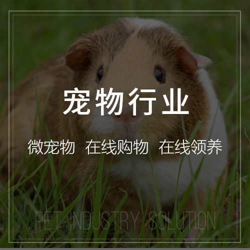 广东集运系统如何提升物流管理效率